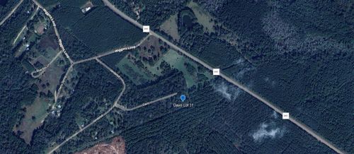 TBD Davis, Livingston, TX, 77351 | Card Image