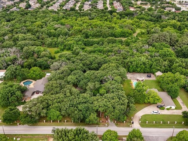 Drone / aerial view of a forest | Image 14