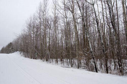 XXXX Sheridan Woods Lane Ne, Outing, MN, 56662 | Card Image