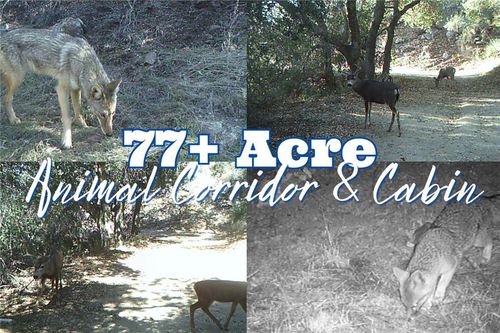 28618 Chihuahua Valley Rd, Warner Springs, CA, 92086-9200 | Card Image