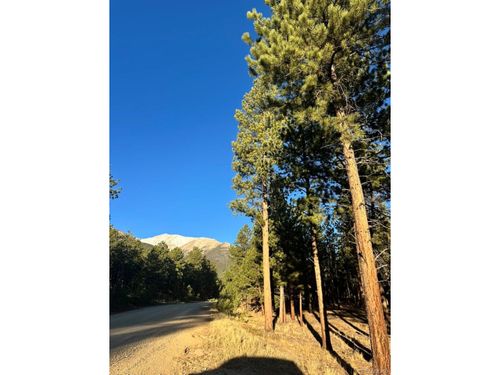 16703 Pine Grove Pkwy, Buena Vista, CO, 81211-8763 | Card Image