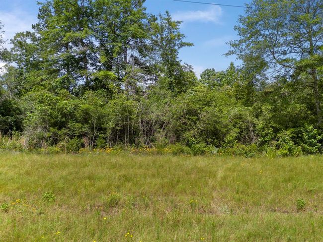 110 Coyote Run, Home with 0 bedrooms, 0 bathrooms and null parking in New Waverly TX | Image 20