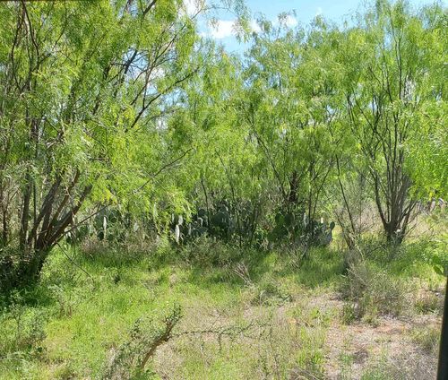 Lot 303 Driftwood Drive, Granite Shoals, TX, 78654 | Card Image