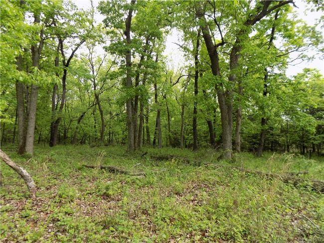 1267 Rock Creek Rd, Home with 0 bedrooms, 0 bathrooms and null parking in Williamsburg KS | Image 29