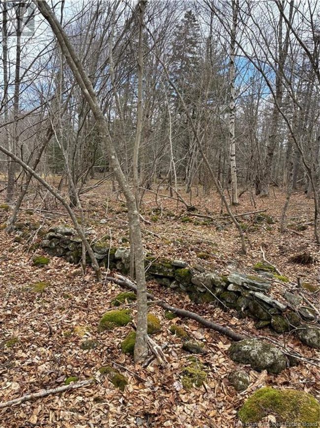 4640 Rte 127, Home with 0 bedrooms, 0 bathrooms and null parking in Chamcook NB | Image 9
