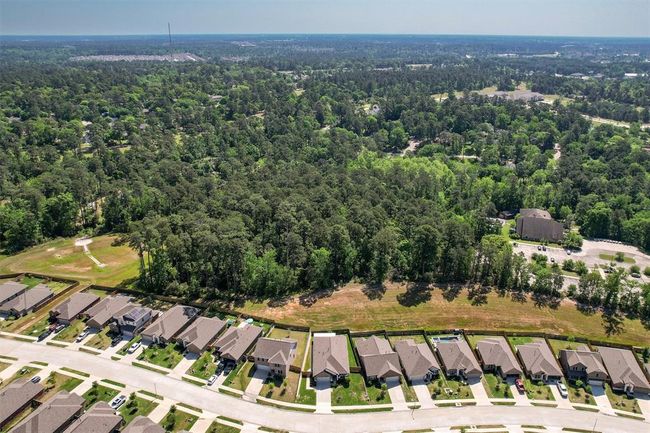 954 Golden Willow Ln, House other with 4 bedrooms, 2 bathrooms and 2 parking in Conroe TX | Image 42