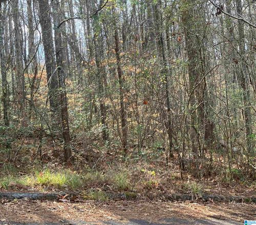 9-9 Shady Wood Ln, SPRINGVILLE, AL, 35146-3209 | Card Image