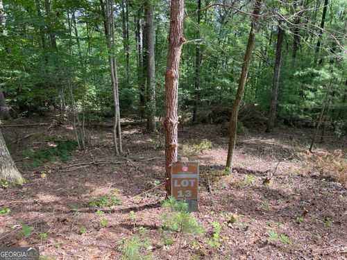 13-LOT13 Sour Apple Ln, Blairsville, GA, 30512 | Card Image