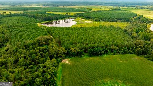 0 Canoochee Rd, Cobbtown, GA, 30420 | Card Image