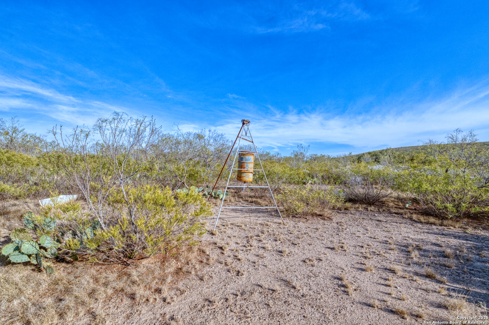 Land in Uvalde 4