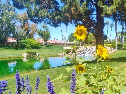 41715 Woodhaven Drive W, Palm Desert, CA, 92211 | Card Image