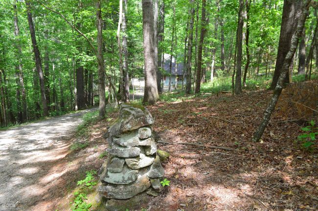 445 White Rapids Dr, House other with 2 bedrooms, 1 bathrooms and 4 parking in Demorest GA | Image 15