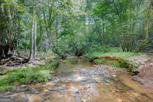 0 County Road 475, woodland, AL, 36280 | Card Image