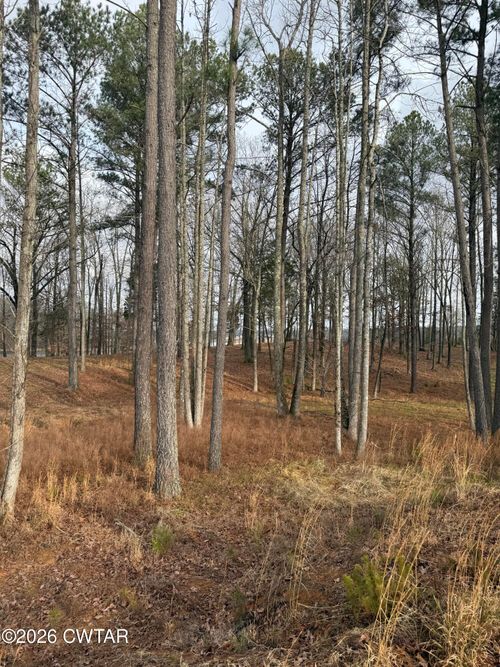Lot 15 Stately Oak Dr, Huntingdon, TN, 38344 | Card Image
