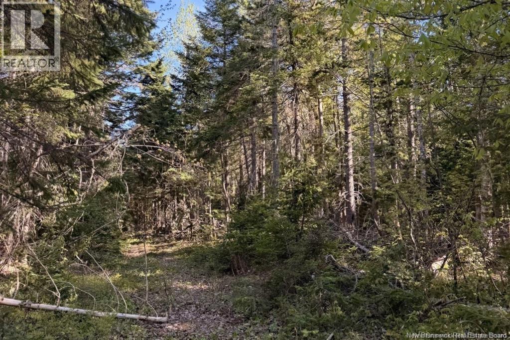 Land in Portage Vale 5