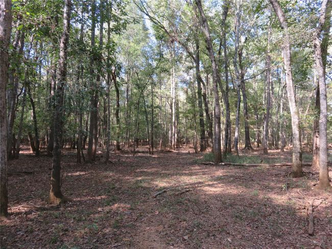 9795 S Us Highway 59, Home with 0 bedrooms, 0 bathrooms and null parking in Nacogdoches TX | Image 11