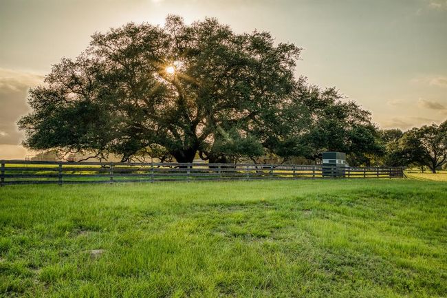 1100 Dittmar Rd, Home with 3 bedrooms, 3 bathrooms and 2 parking in Cat Spring TX | Image 25