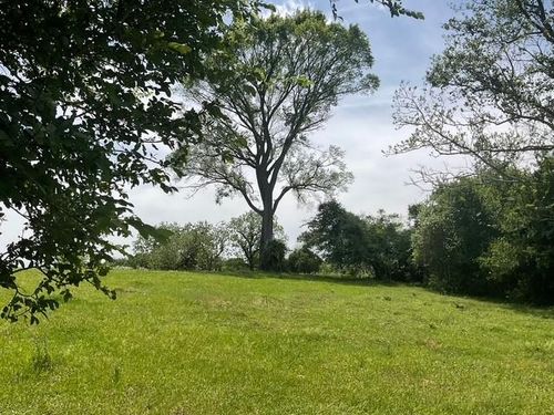 00 Riverside Plantation Ln, Chappell Hill, TX, 77426 | Card Image