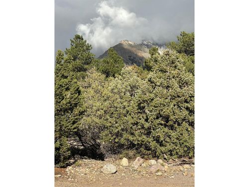 1693 Columbine, Crestone, CO, 81131 | Card Image