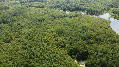 7 Sharon Lane, Cherryfield, ME, 04622 | Card Image