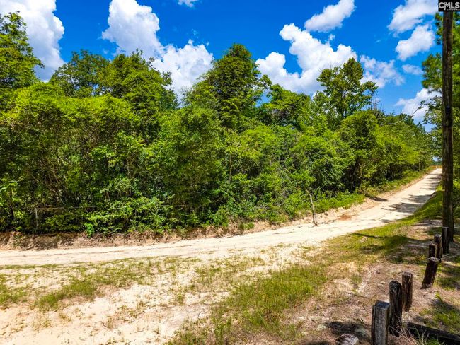 347 Peachtwig Rd, Home with 0 bedrooms, 0 bathrooms and null parking in Monetta SC | Image 12