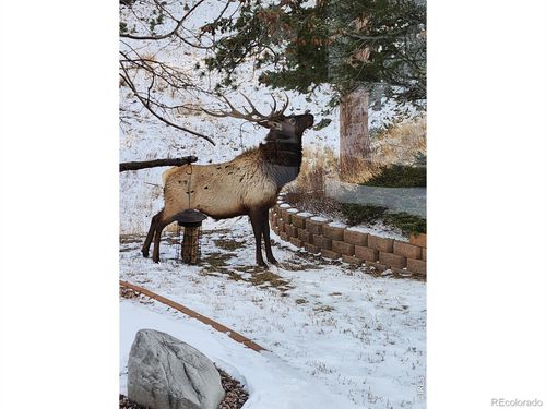 96 Lone Wolf Rd, Loveland, CO, 80537-9446 | Card Image