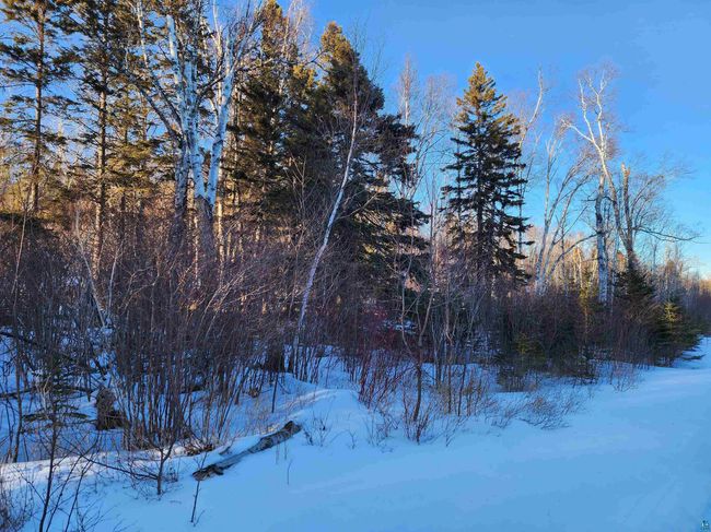 XX-2 Hoaglund Dr, Home with 0 bedrooms, 0 bathrooms and null parking in Tofte MN | Image 9