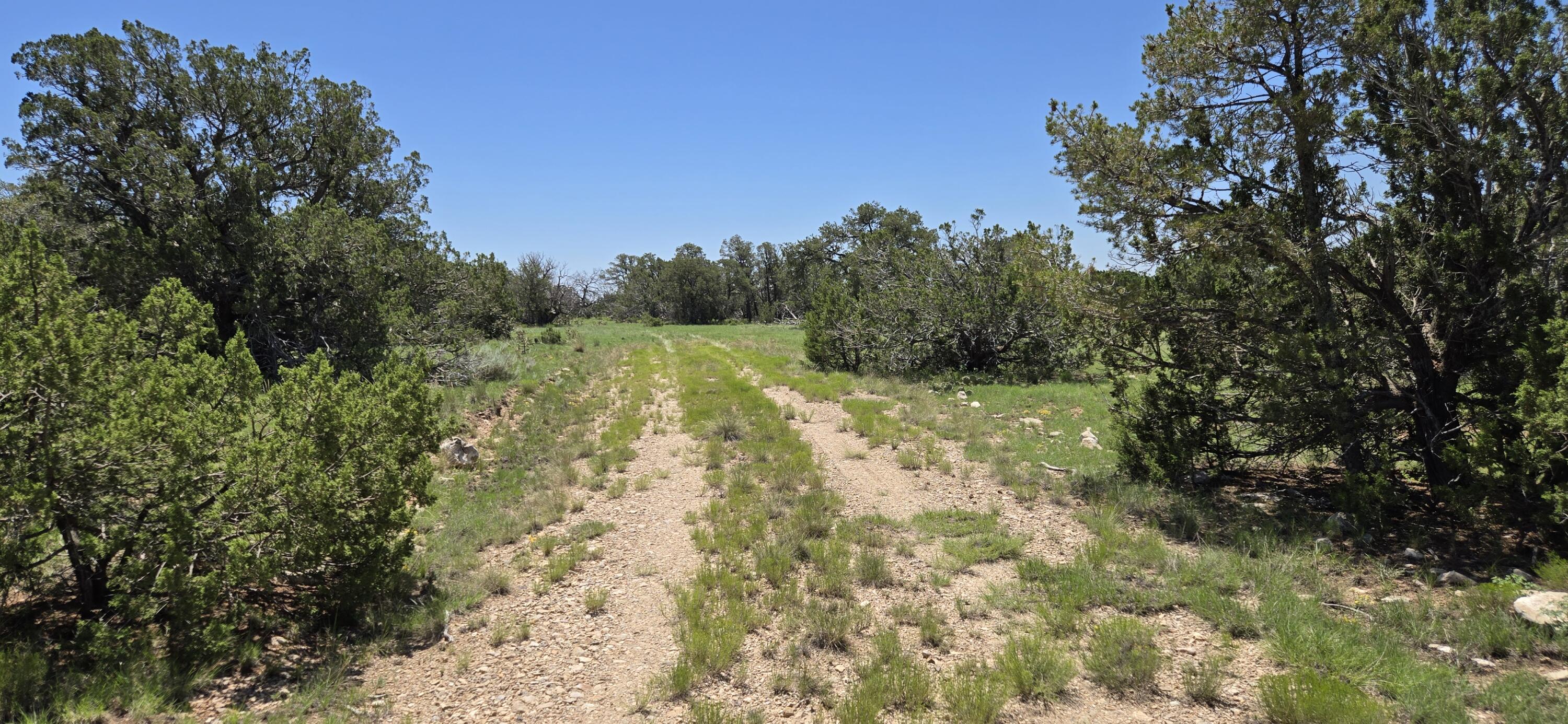 Land in Corona 3