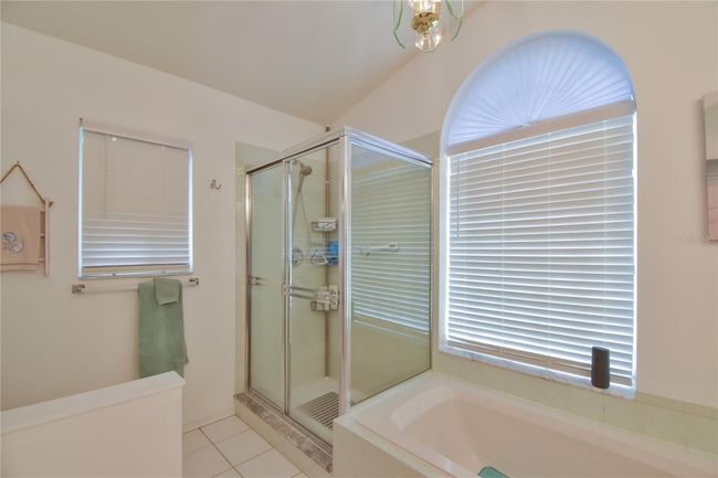 Master Bathroom with Walk-In Shower and Soaking Tub | Image 15
