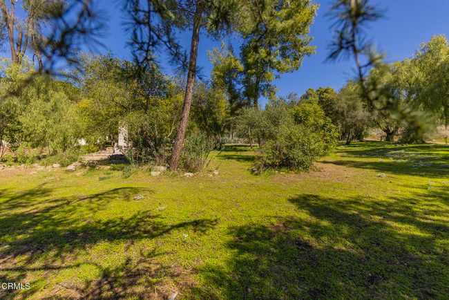 Meadows | Image 15