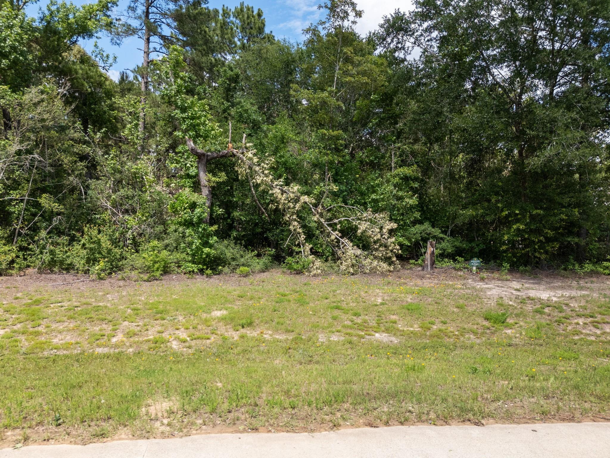 Land in Montgomery 3