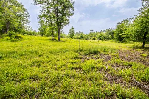 962 Cowpen Rd, Karnack, TX, 75661 | Card Image