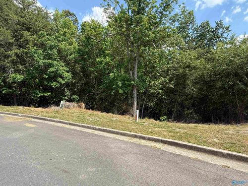 Lot 19 Ridgefield Cir, Guntersville, AL, 35976-5199 | Card Image