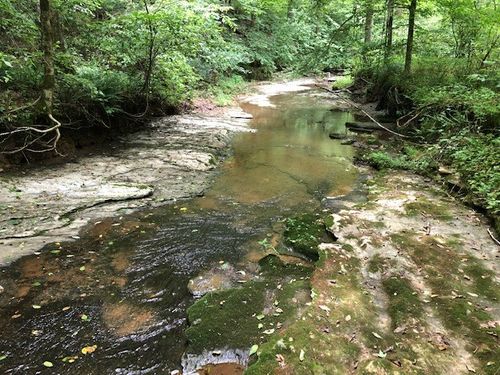 2270 Shuler Branch Rd, Ethridge, TN, 38456-7069 | Card Image