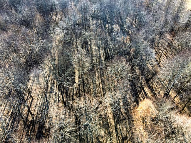0 Old Jones Easement, Home with 0 bedrooms, 0 bathrooms and null parking in Adolphus KY | Image 11
