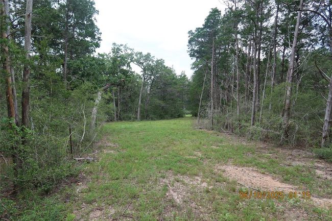 1584 Dungens Mill Rd, Home with 0 bedrooms, 0 bathrooms and null parking in Columbus TX | Image 4
