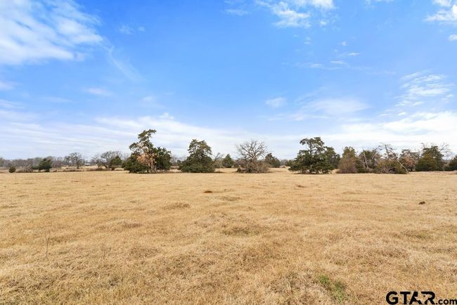 15037 State Highway 110, Home with 0 bedrooms, 0 bathrooms and null parking in Van TX | Image 40
