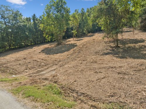 115 Agee Branch Ln, Hickman, TN, 38567-5098 | Card Image