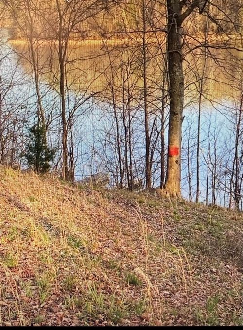 301 Bradford Ln, Bee Spring, KY, 42207 | Card Image