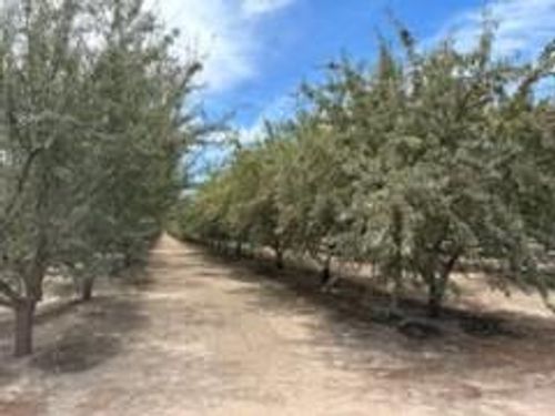 2301 Coelho Road, Manteca, CA, 95336 | Card Image