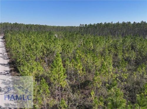 Tract 3 Bennett Mill Pond Rd, Odum, GA, 31555 | Card Image