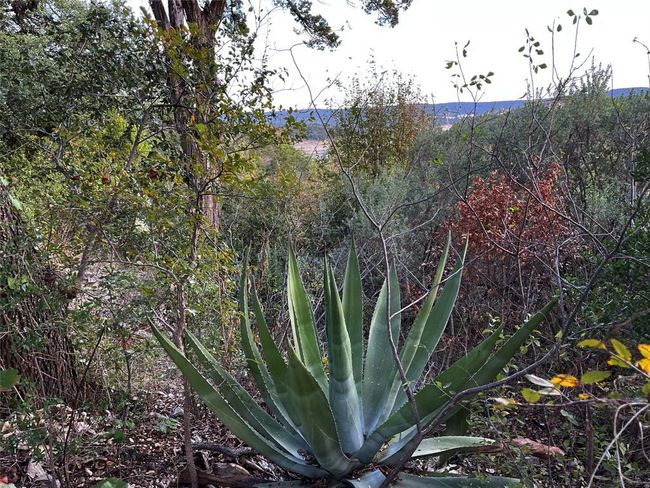 View of nature | Image 8