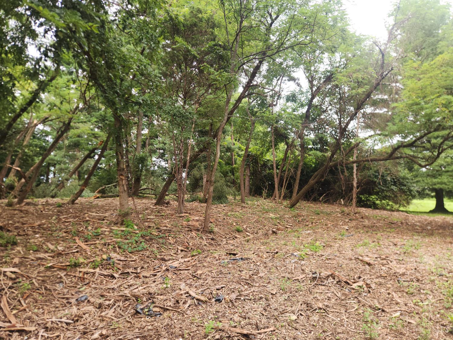 Land in Anderson Twp 4