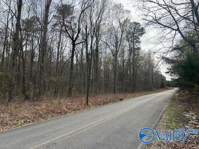 39 Fort Bluff Rd, Home with 0 bedrooms, 0 bathrooms and null parking in Eva AL | Image 7