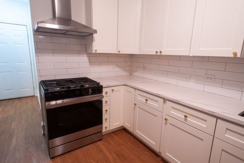 garden-916 N Paulina Street # Gdn, Chicago, IL, 60622 | Card Image