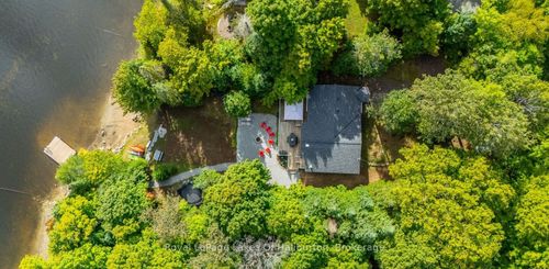 1956 Alsop Rd, Highlands East, ON, K0M1S0 | Card Image