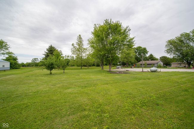 view of grassy yard | Image 40