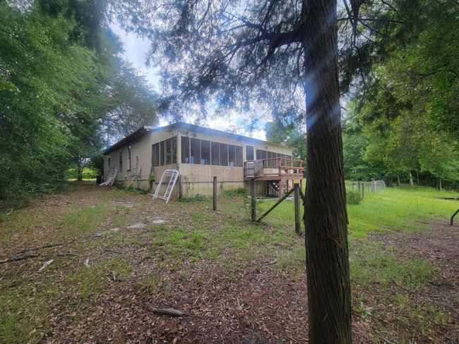 View from the lake | Image 19