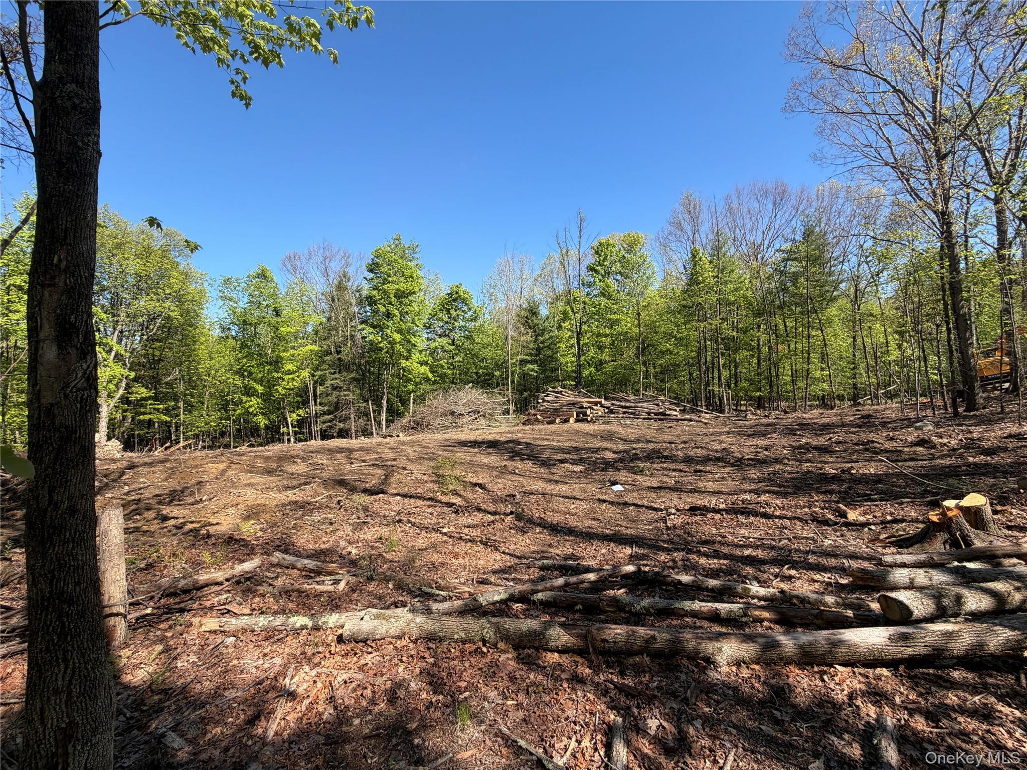 Residential in Wallkill 2