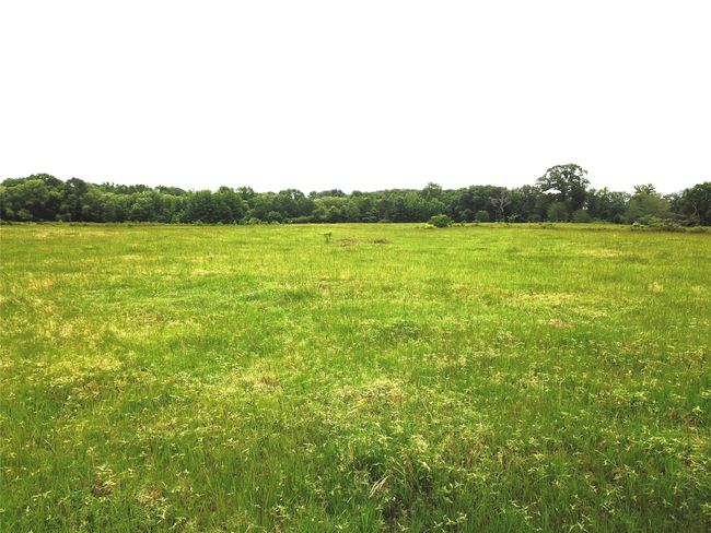 00 County Road 3206 W, Home with 0 bedrooms, 0 bathrooms and null parking in Mount Enterprise TX | Image 10